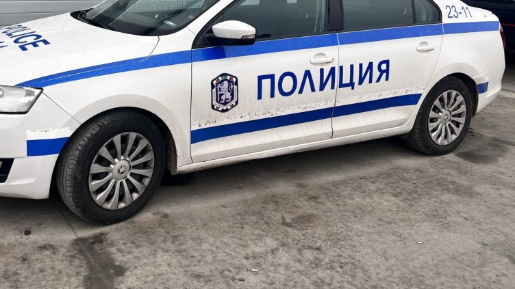 Снимка: архив, БГНЕС
