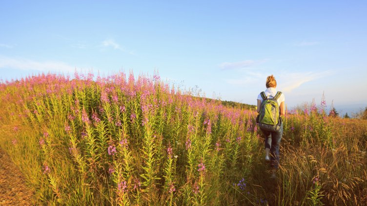 Снимка: Istock