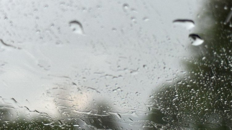 Снимка: архив, БГНЕС