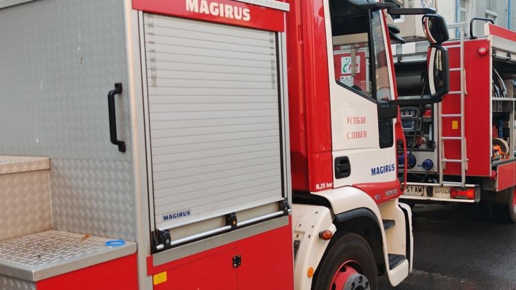 Снимка: архив, БГНЕС