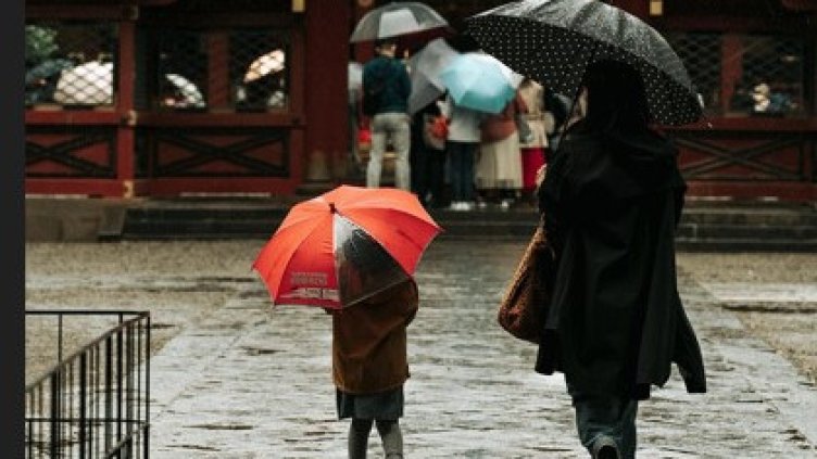 Снимка Пиксабей