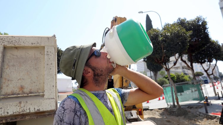 Снимка: архив, БГНЕС