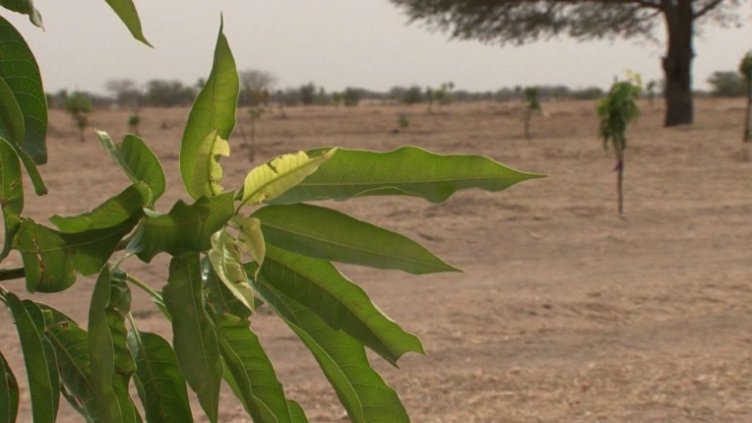Снимка: архив, БГНЕС