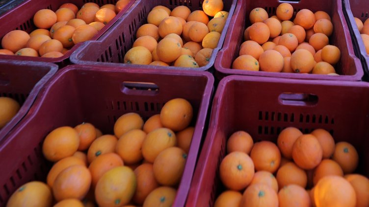 Снимка: архив, БГНЕС