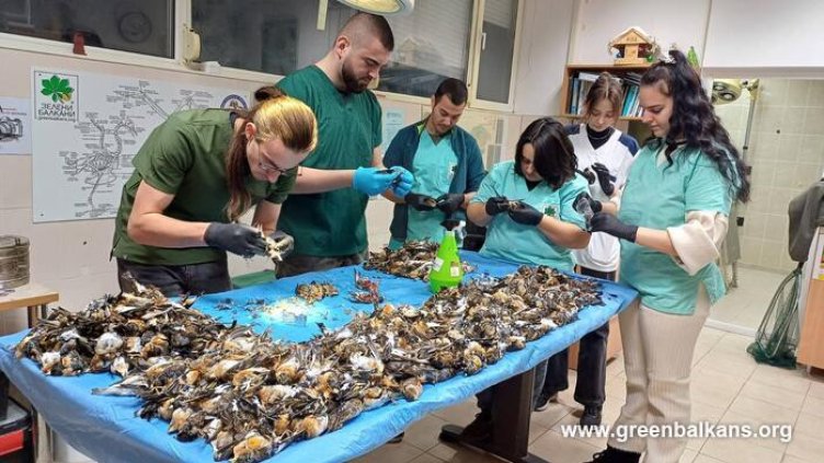 Зелени Балкани