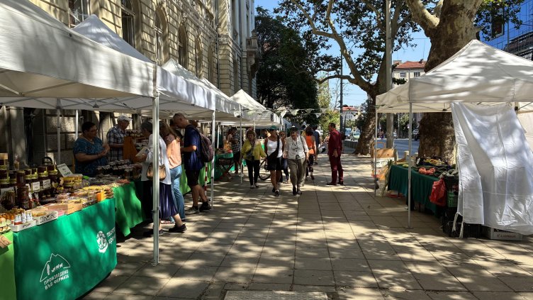 Снимка: БГНЕС