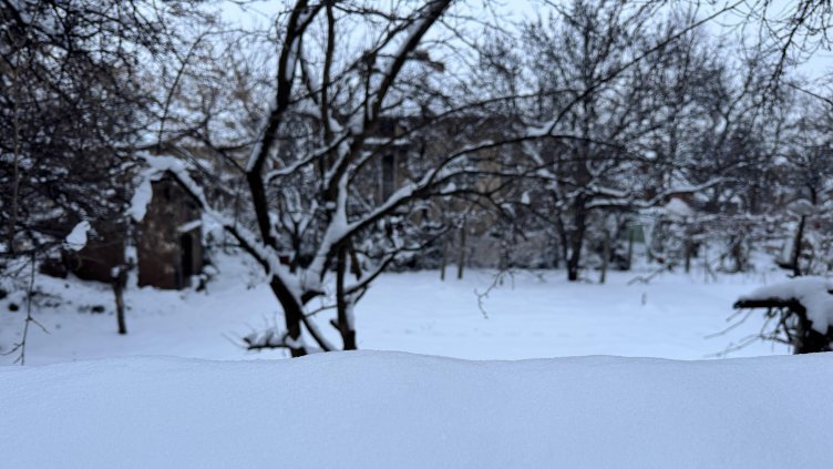 Снимка: архив, БГНЕС