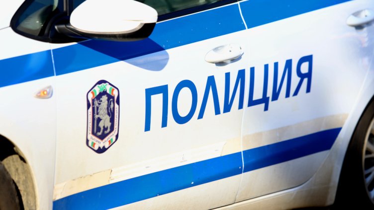 Снимка: архив, БГНЕС