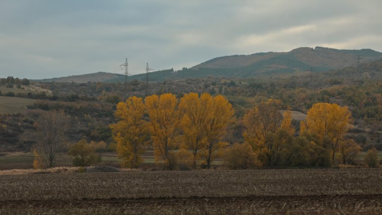 Снимка: архив, БГНЕС