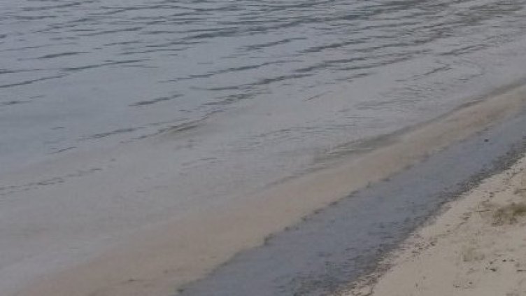 БГНЕС, архив