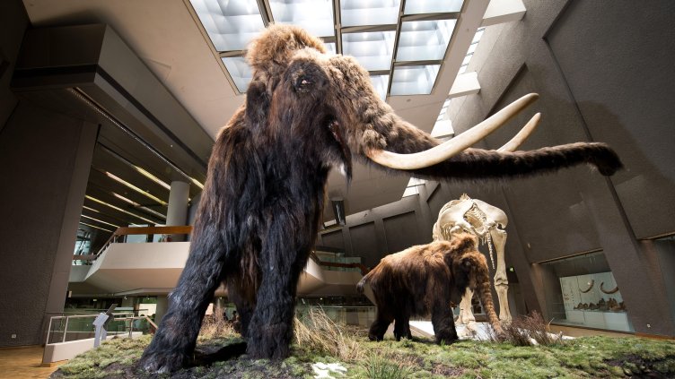 Снимка: архив, БГНЕС