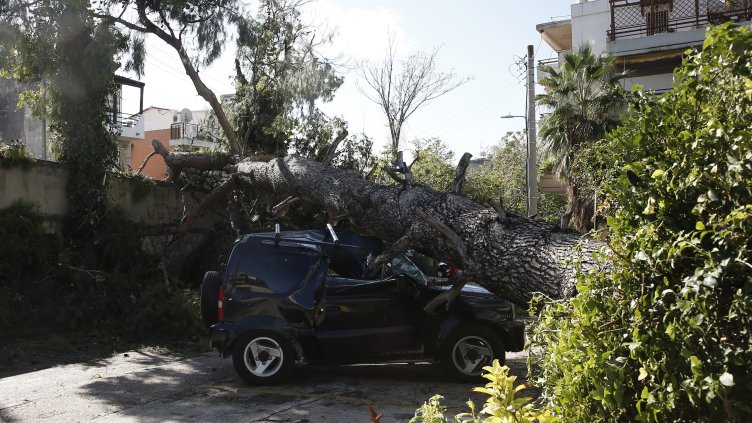 Снимка: архив, БГНЕС