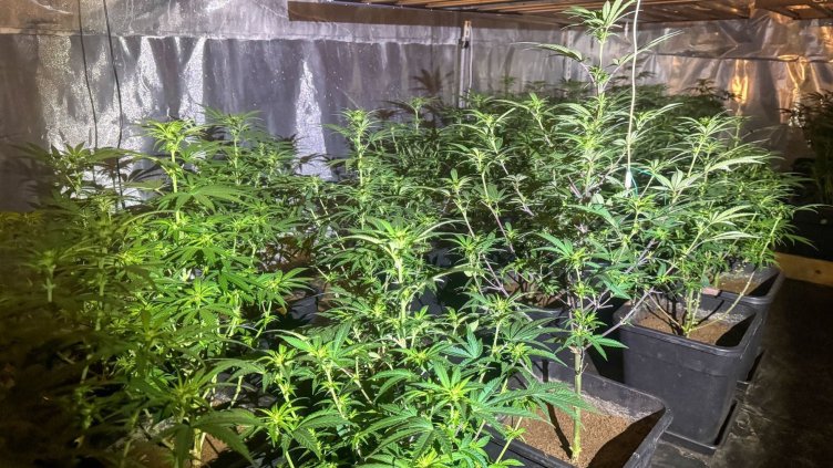 БГНЕС, архив