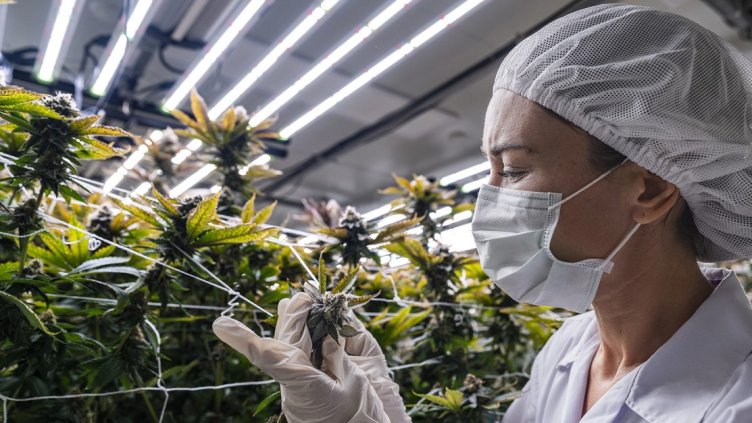 Снимка Пиксабей