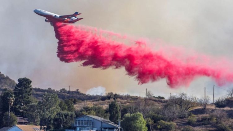 Снимка БГНЕС