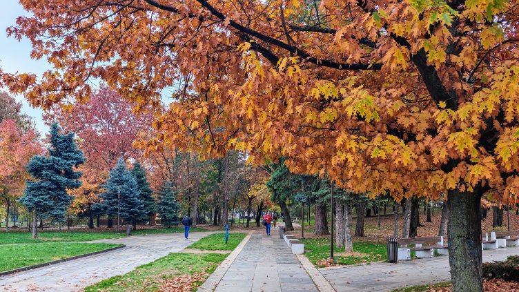 Снимка: архив, БГНЕС