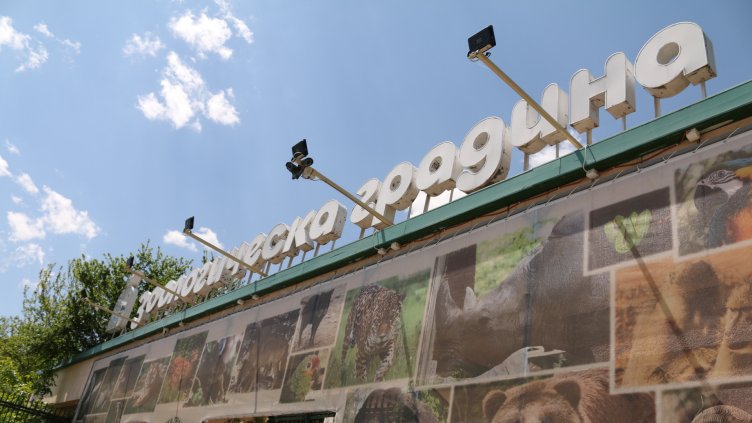 Снимка: архив, БГНЕС