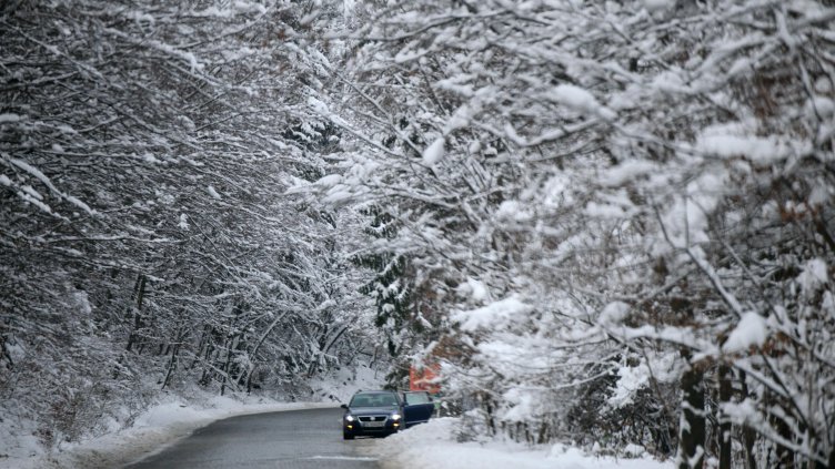 Снимка: архив, БГНЕС