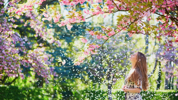 Снимка: iStock/encrier