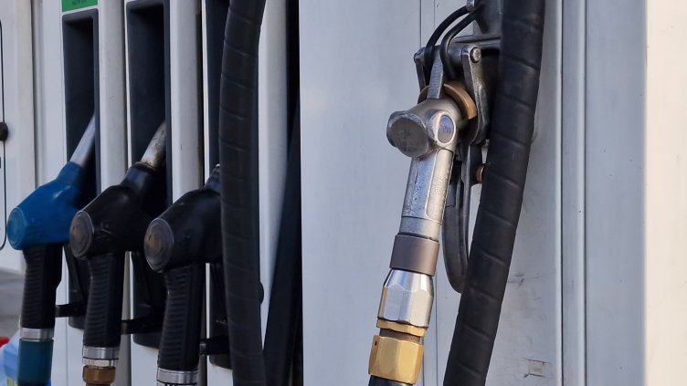 Снимка: архив, БГНЕС