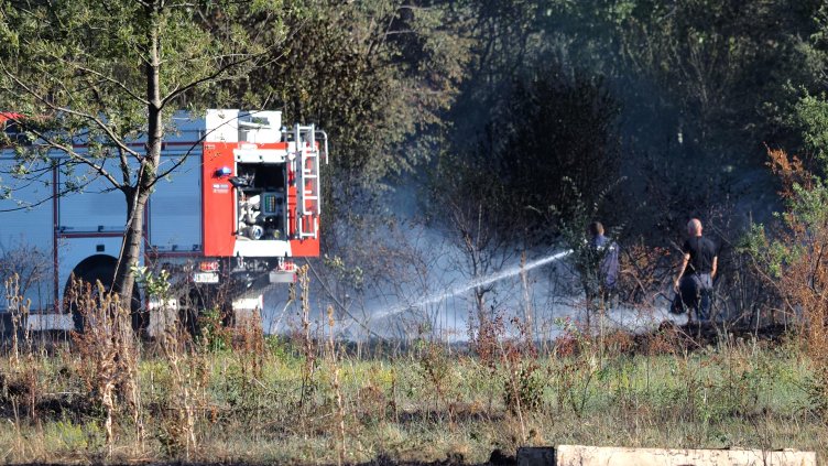 Снимка: БГНЕС