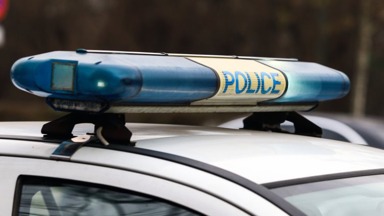 Снимка: архив, БГНЕС