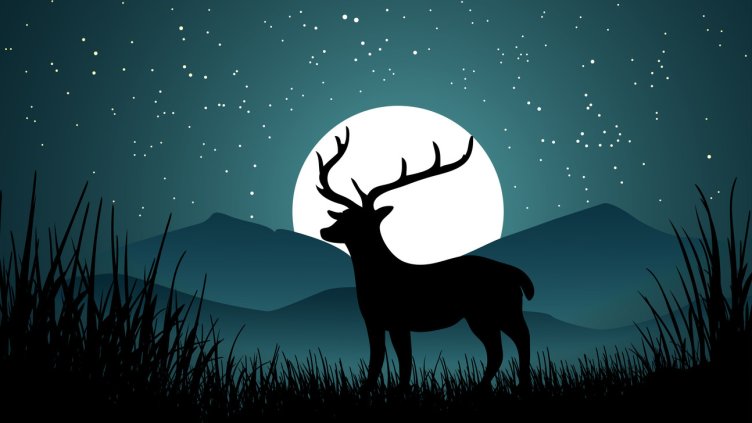 Снимка: iStock/John Alberton