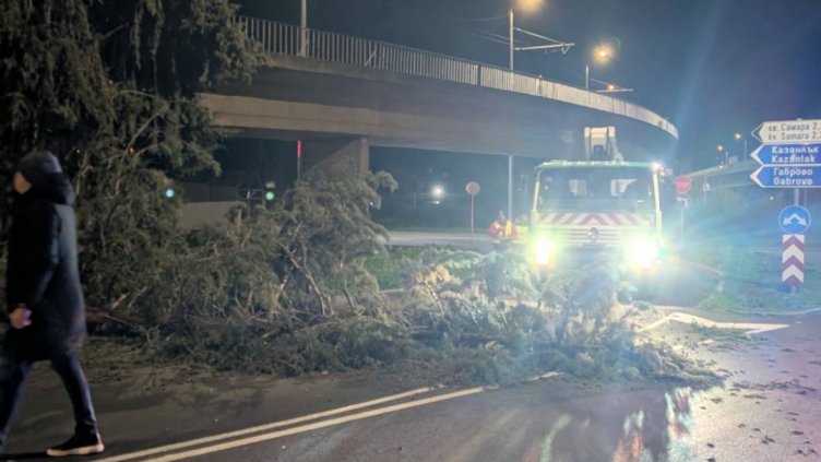 Снимка: Община Стара Загора