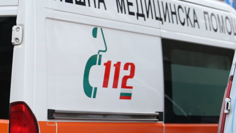 Снимка: архив, БГНЕС