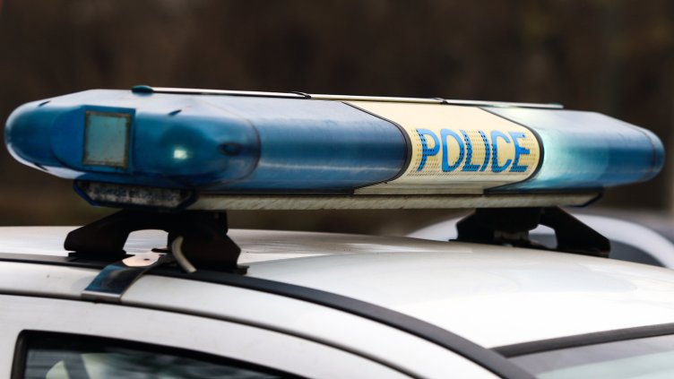 Снимка: архив, БГНЕС