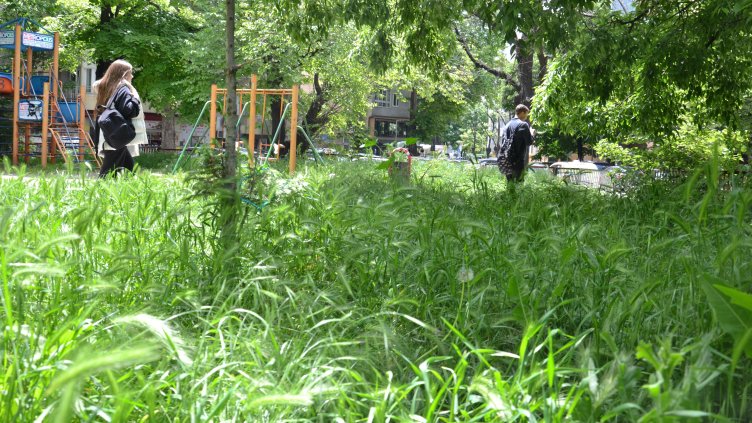 Снимка: БГНЕС