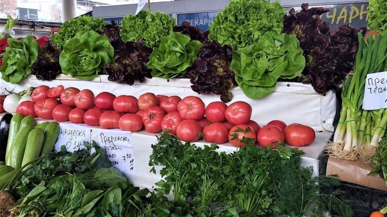 Снимка: архив, БГНЕС