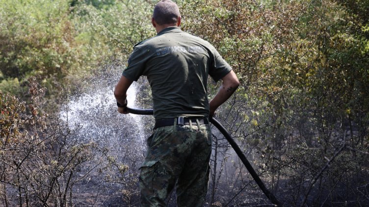 Снимка: БГНЕС