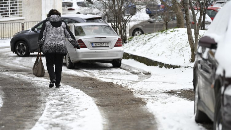 Снимка: БГНЕС
