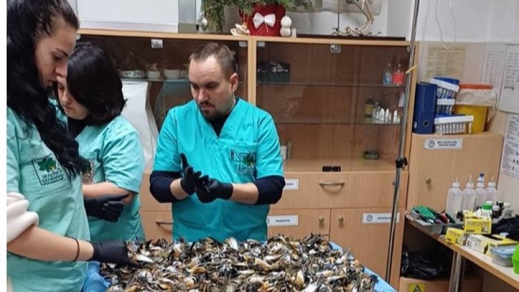 Снимка: Георги Манев, NOVA