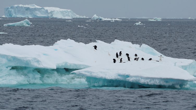 Reuters