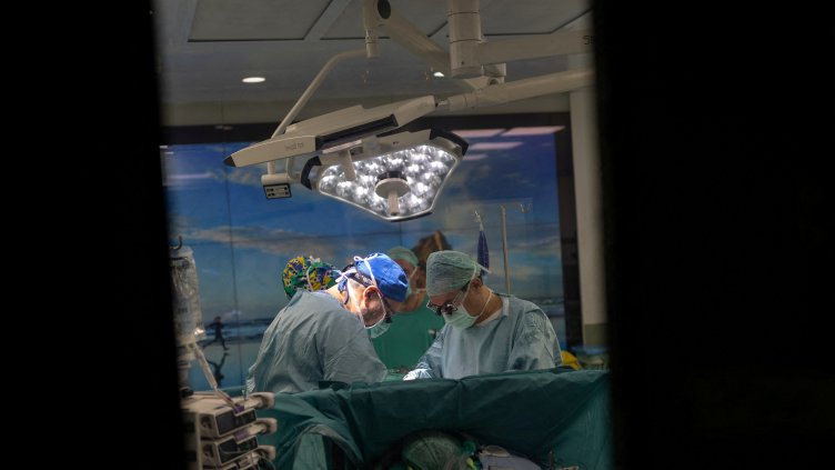 Снимка: архив, БГНЕС