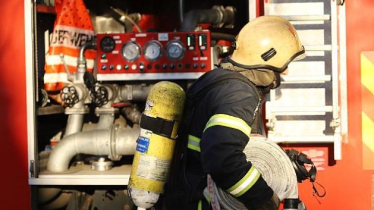 БГНЕС, архив