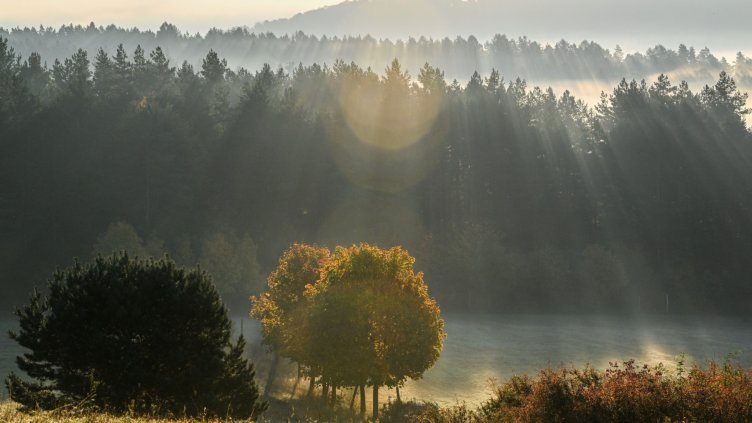 Снимка БГНЕС