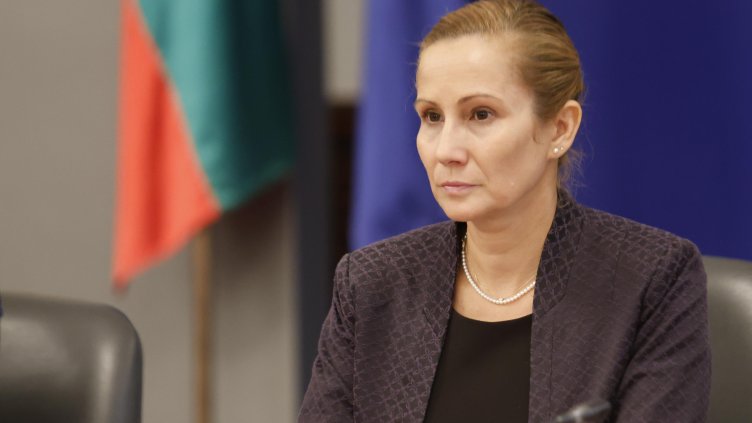 Снимка: архив, БГНЕС