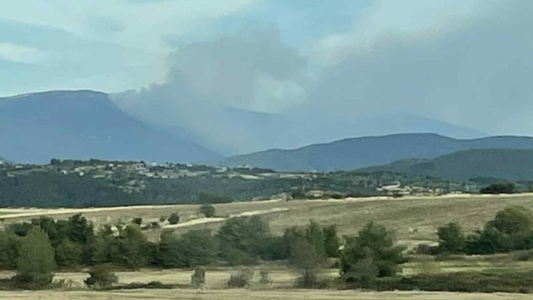 Снимка: БГНЕС