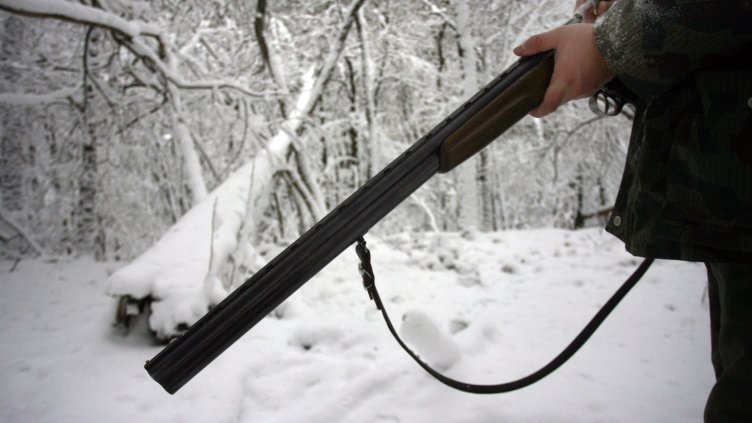 Снимка: архив, БГНЕС