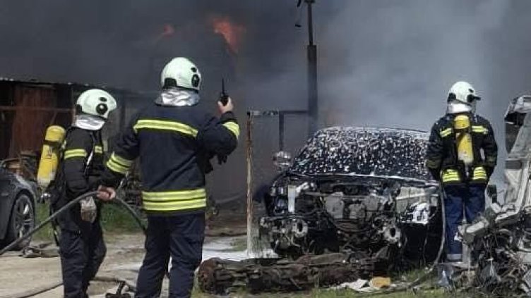 Снимка: БГНЕС