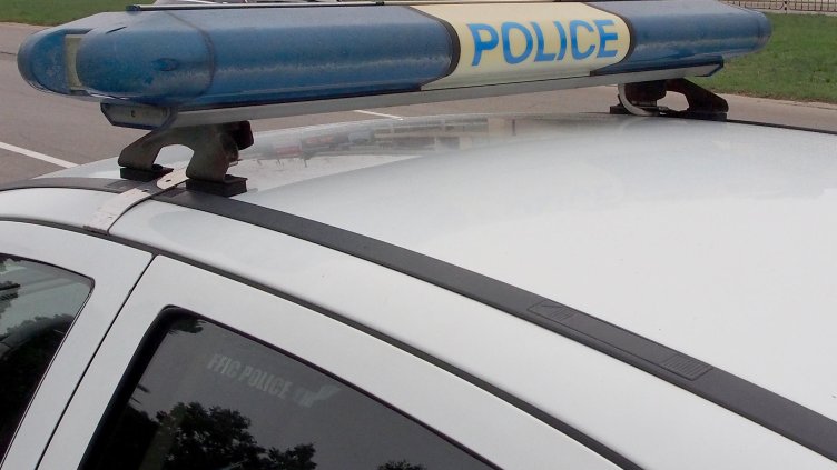 БГНЕС, архив