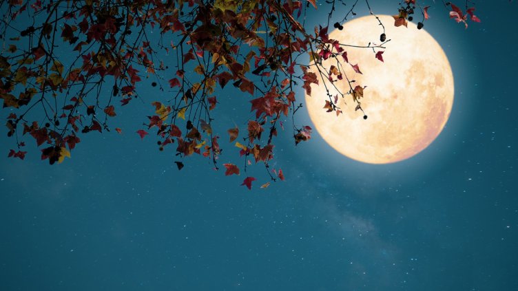 Снимка: iStock/jakkapan21