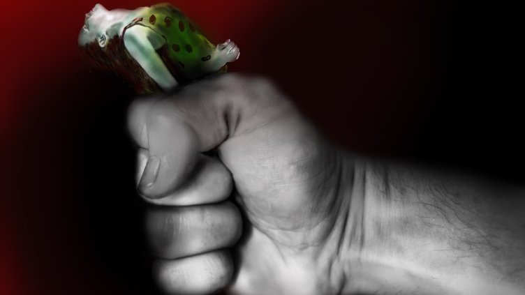 Снимка: Пиксабей