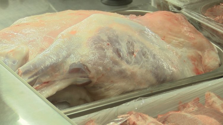 Снимка: архив, БГНЕС