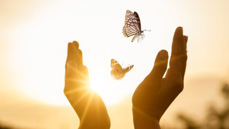 Снимка: istock