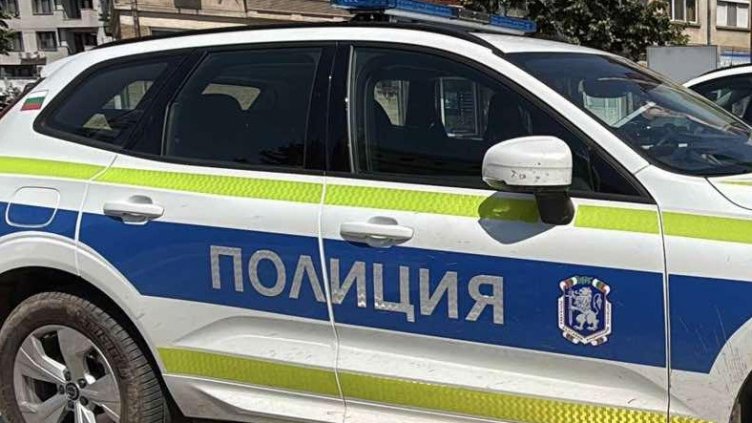 Снимка: архив, БГНЕС