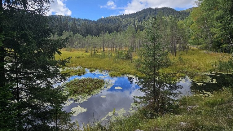 Торфищата на Чаирските езера &ndash; крехкото въглеродно хранилище на Родопите
